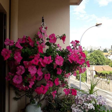 Chambre chez l’habitant chez Nadine Cagnes-sur-Mer Exterior foto