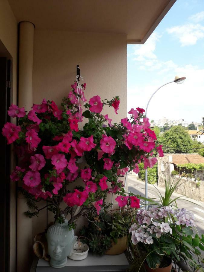 Chambre chez l’habitant chez Nadine Cagnes-sur-Mer Exterior foto